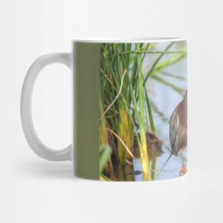 Green Heron Standing Tall Mug